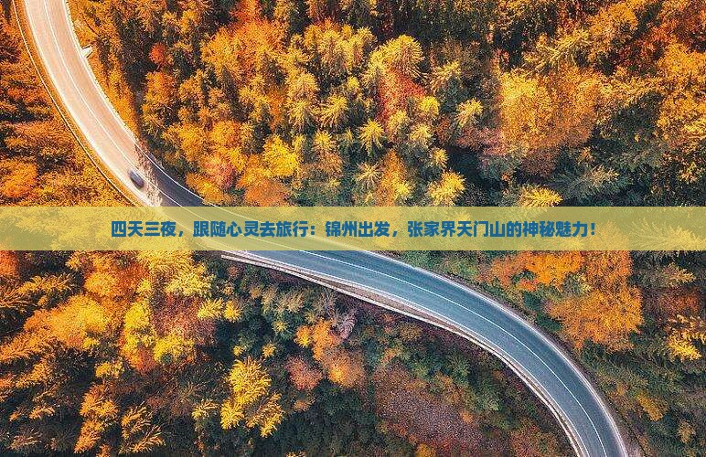 四天三夜，跟随心灵去旅行：锦州出发，张家界天门山的神秘魅力！