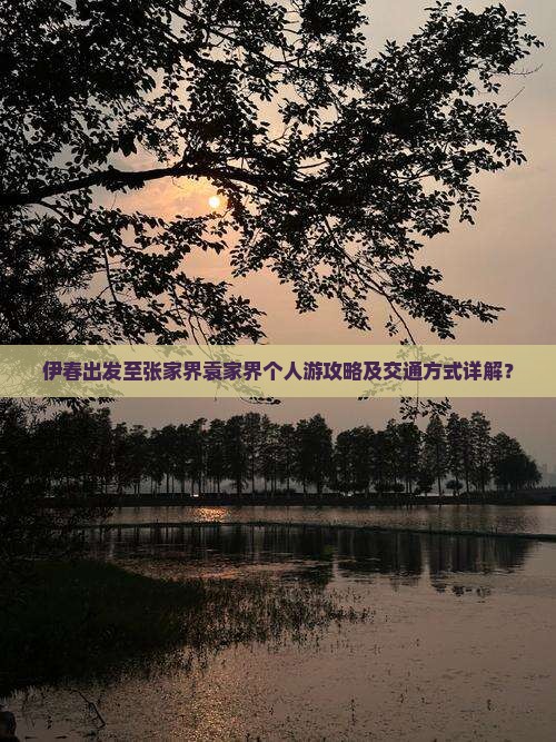 伊春出发至张家界袁家界个人游攻略及交通方式详解？