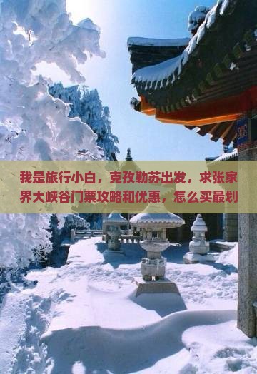 我是旅行小白，克孜勒苏出发，求张家界大峡谷门票攻略和优惠，怎么买最划算？