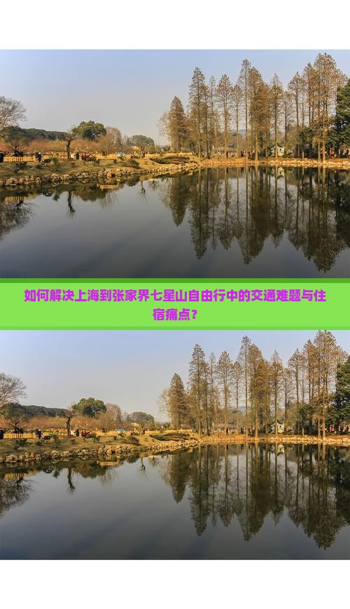 如何解决上海到张家界七星山自由行中的交通难题与住宿痛点？