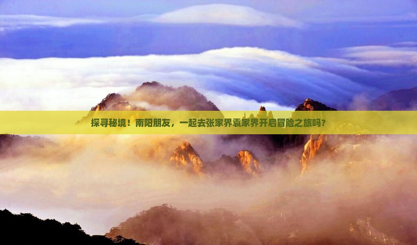 探寻秘境！南阳朋友，一起去张家界袁家界开启冒险之旅吗？