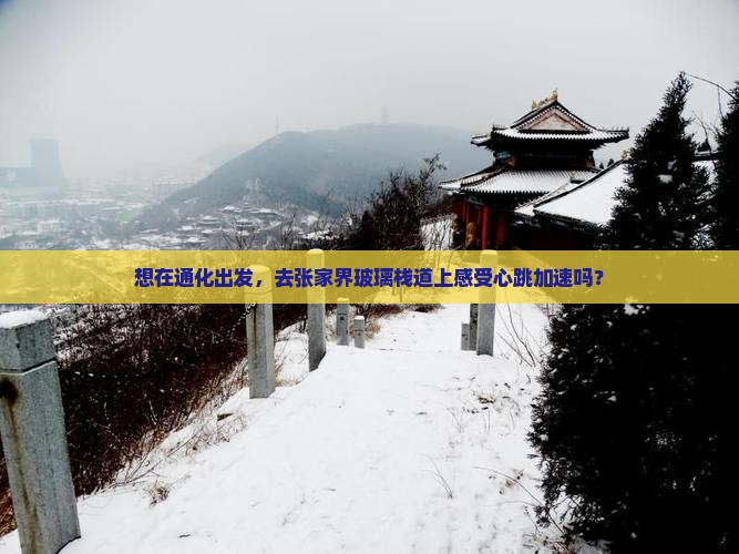 想在通化出发，去张家界玻璃栈道上感受心跳加速吗？