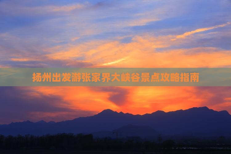 扬州出发游张家界大峡谷景点攻略指南