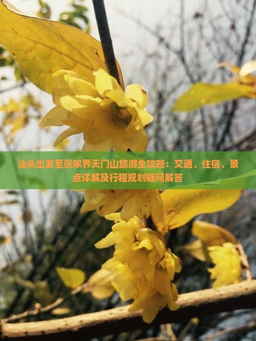 汕头出发至张家界天门山旅游全攻略：交通、住宿、景点详解及行程规划疑问解答