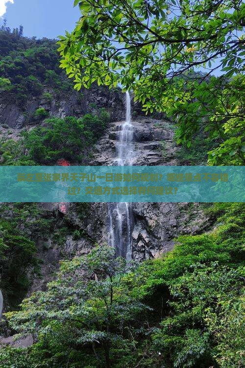 崇左至张家界天子山一日游如何规划？哪些景点不容错过？交通方式选择有何建议？