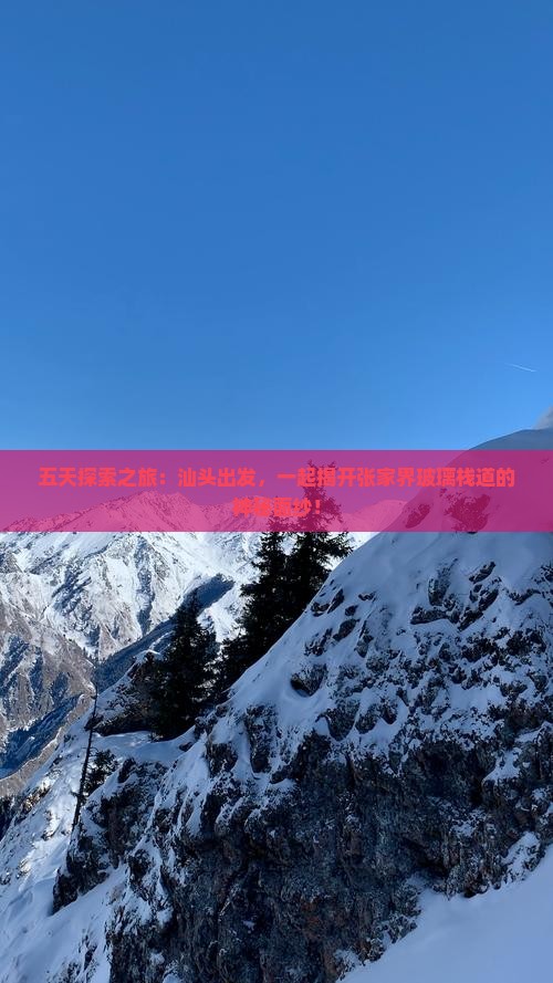 五天探索之旅：汕头出发，一起揭开张家界玻璃栈道的神秘面纱！
