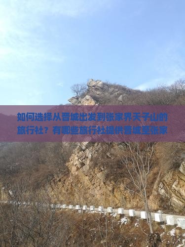 如何选择从晋城出发到张家界天子山的旅行社？有哪些旅行社提供晋城至张家界天子山的旅游服务？