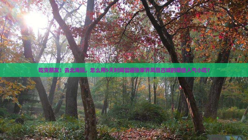 吃货朋友！去北海玩，怎么用5天时间尝遍张家界凤凰古城的哪些人气小吃？