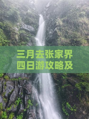 三月去张家界四日游攻略及游玩体验分享