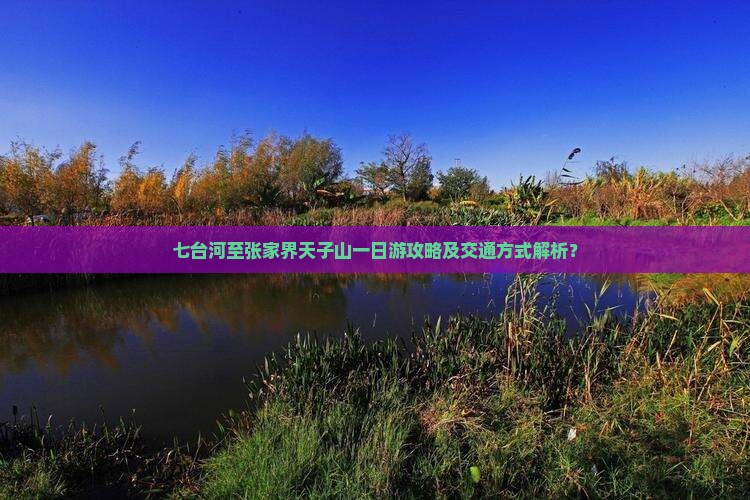 七台河至张家界天子山一日游攻略及交通方式解析？