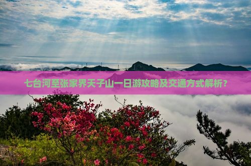七台河至张家界天子山一日游攻略及交通方式解析？
