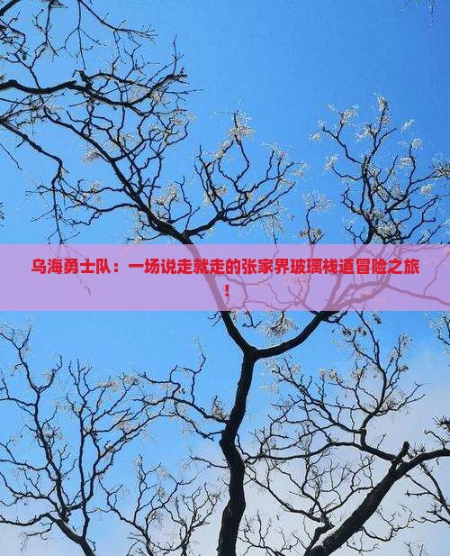 乌海勇士队：一场说走就走的张家界玻璃栈道冒险之旅！