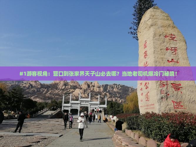 #1游客视角：营口到张家界天子山必去哪？当地老司机爆冷门秘境！