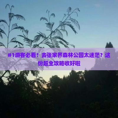 #1游客必看！去张家界森林公园太迷茫？这份超全攻略收好啦