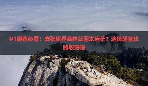 #1游客必看！去张家界森林公园太迷茫？这份超全攻略收好啦