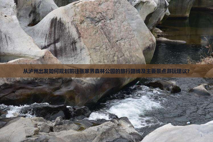 从泸州出发如何规划前往张家界森林公园的旅行路线及主要景点游玩建议？