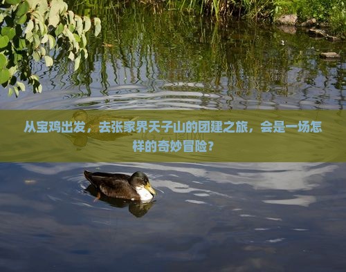 从宝鸡出发，去张家界天子山的团建之旅，会是一场怎样的奇妙冒险？