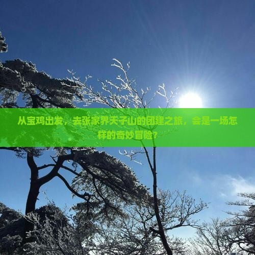 从宝鸡出发，去张家界天子山的团建之旅，会是一场怎样的奇妙冒险？