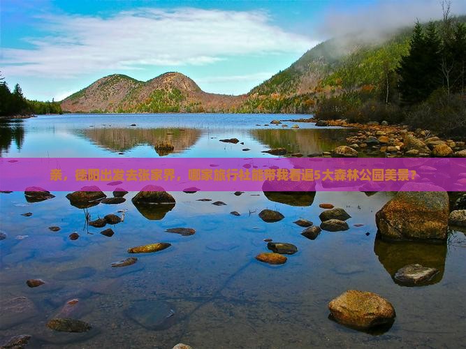 亲，德阳出发去张家界，哪家旅行社能带我看遍5大森林公园美景？
