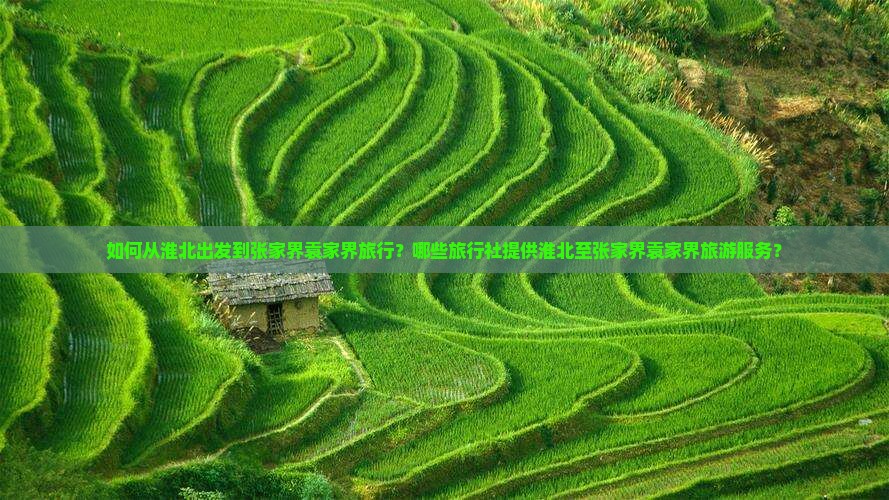 如何从淮北出发到张家界袁家界旅行？哪些旅行社提供淮北至张家界袁家界旅游服务？