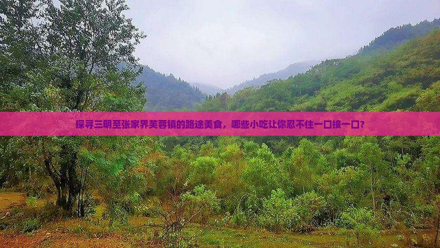探寻三明至张家界芙蓉镇的路途美食，哪些小吃让你忍不住一口接一口？