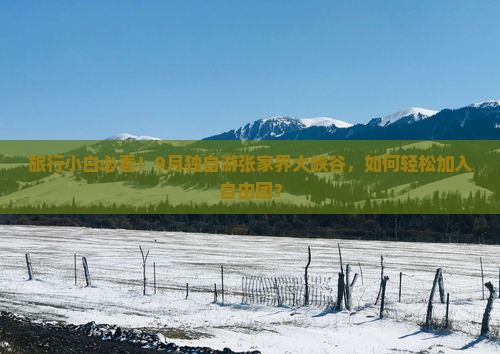旅行小白必看！9月独自游张家界大峡谷，如何轻松加入自由团？