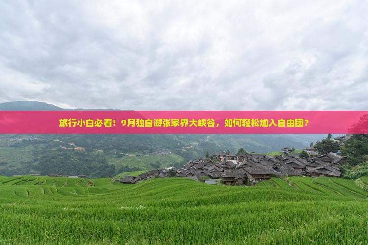 旅行小白必看！9月独自游张家界大峡谷，如何轻松加入自由团？