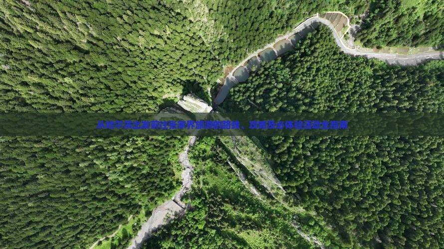 从哈尔滨出发前往张家界旅游的路线、攻略及必体验活动全指南