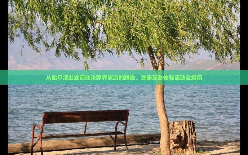 从哈尔滨出发前往张家界旅游的路线、攻略及必体验活动全指南