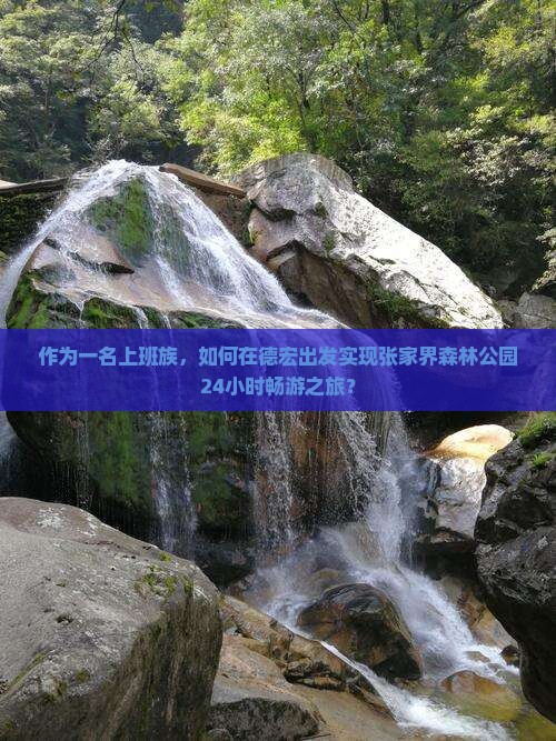 作为一名上班族，如何在德宏出发实现张家界森林公园24小时畅游之旅？