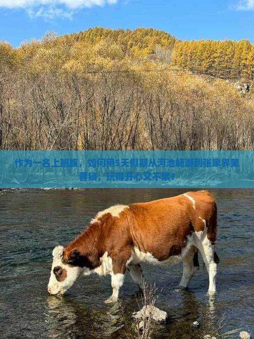 作为一名上班族，如何用5天假期从河池畅游到张家界芙蓉镇，玩得开心又不累？