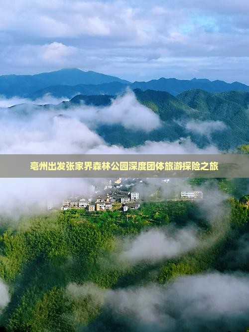 亳州出发张家界森林公园深度团体旅游探险之旅