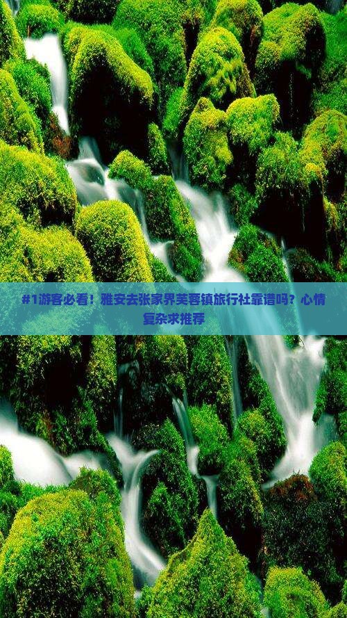 #1游客必看！雅安去张家界芙蓉镇旅行社靠谱吗？心情复杂求推荐