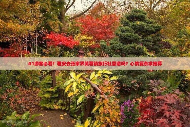 #1游客必看！雅安去张家界芙蓉镇旅行社靠谱吗？心情复杂求推荐