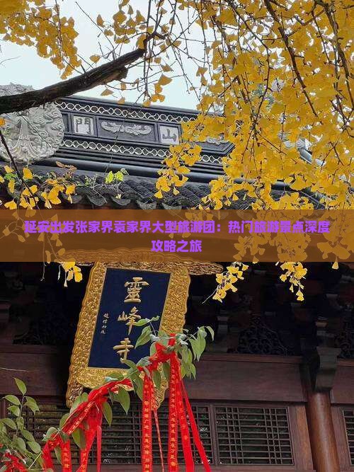 延安出发张家界袁家界大型旅游团：热门旅游景点深度攻略之旅