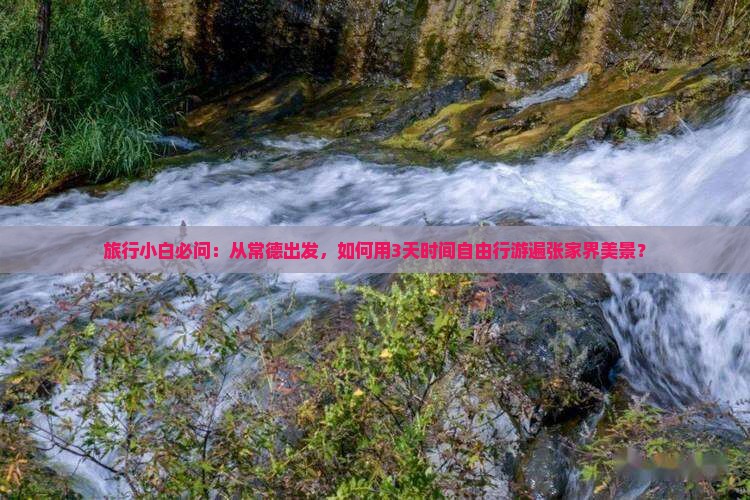 旅行小白必问：从常德出发，如何用3天时间自由行游遍张家界美景？
