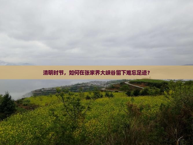 清明时节，如何在张家界大峡谷留下难忘足迹？