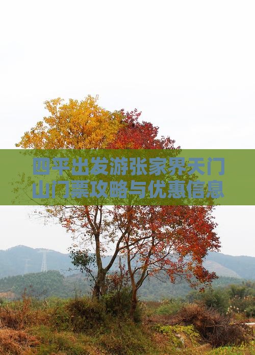 四平出发游张家界天门山门票攻略与优惠信息