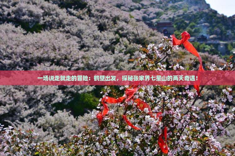 一场说走就走的冒险：鹤壁出发，探秘张家界七星山的两天奇遇！