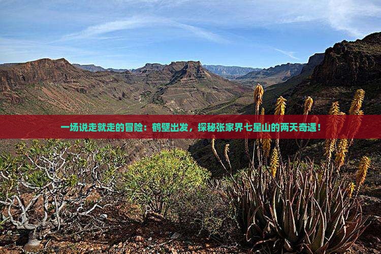 一场说走就走的冒险：鹤壁出发，探秘张家界七星山的两天奇遇！