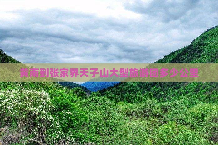 黄南到张家界天子山大型旅游团多少公里