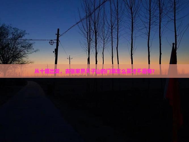 从十堰出发，去张家界天子山的门票怎么买才不后悔？