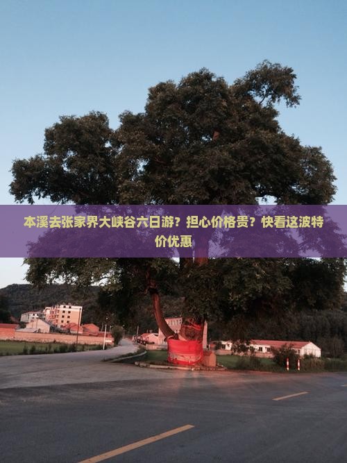 本溪去张家界大峡谷六日游？担心价格贵？快看这波特价优惠