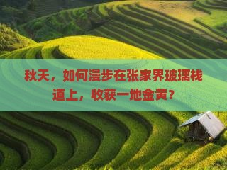 秋天，如何漫步在张家界玻璃栈道上，收获一地金黄？
