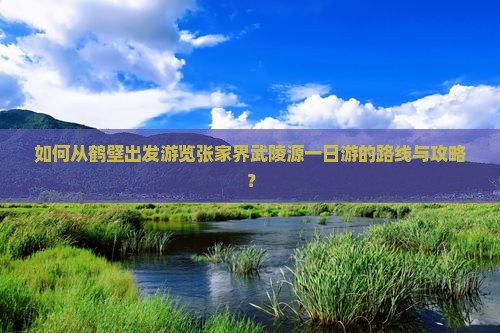 如何从鹤壁出发游览张家界武陵源一日游的路线与攻略？