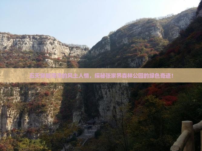 五天穿越菏泽的风土人情，探秘张家界森林公园的绿色奇迹！
