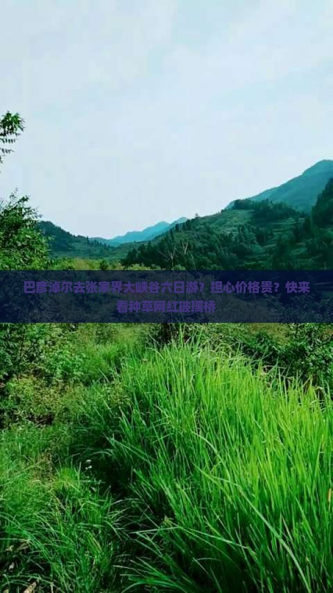 巴彦淖尔去张家界大峡谷六日游？担心价格贵？快来看种草网红玻璃桥