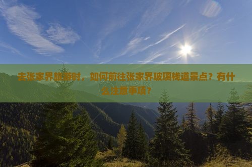 去张家界旅游时，如何前往张家界玻璃栈道景点？有什么注意事项？