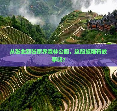 从张北到张家界森林公园，这段旅程有故事吗？