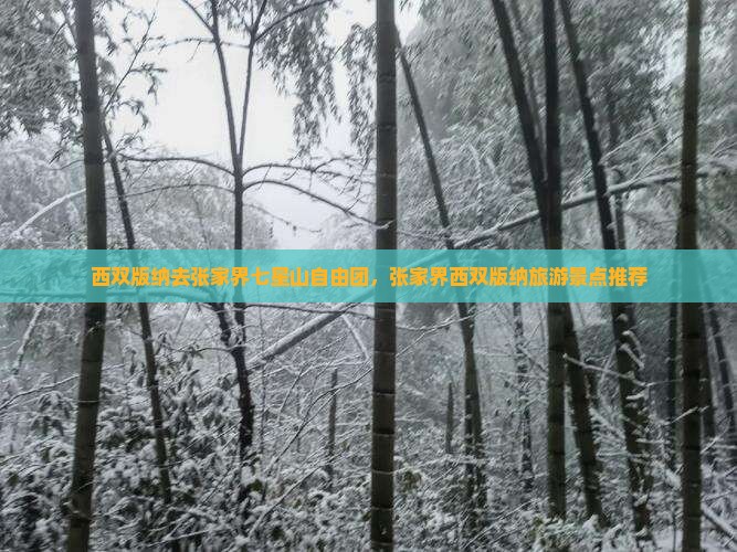 西双版纳去张家界七星山自由团，张家界西双版纳旅游景点推荐